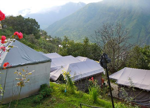 chardham-camp-joshimath