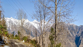 Joshimath