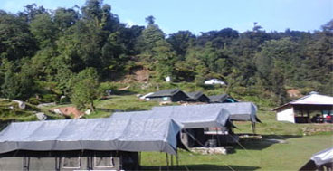 alpine-camp-chopta