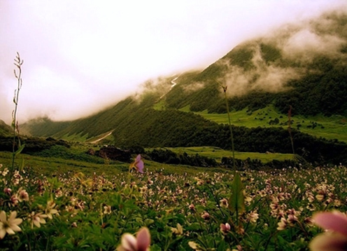 chardham-with-valley-of-flower-package