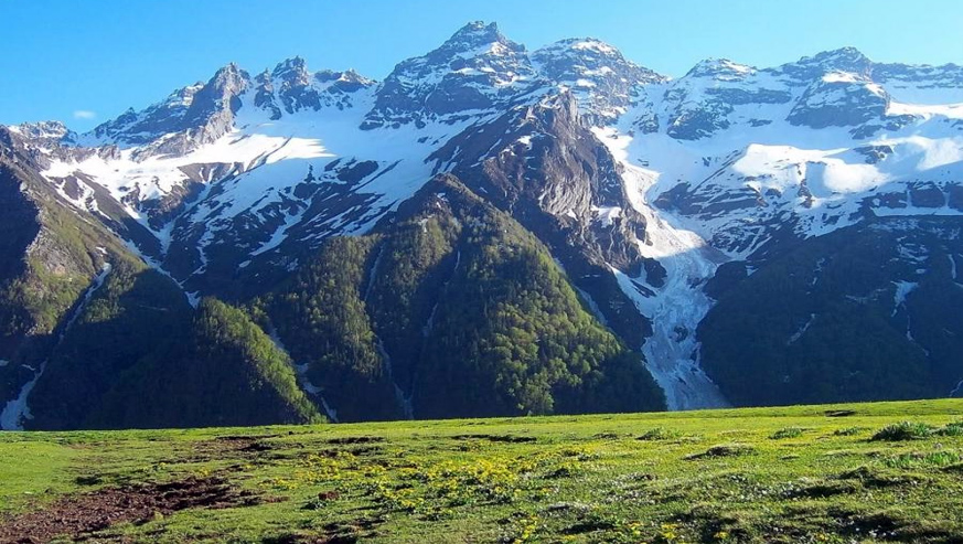 chardham package with valley of flowers