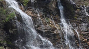 gangotri yamunotri package