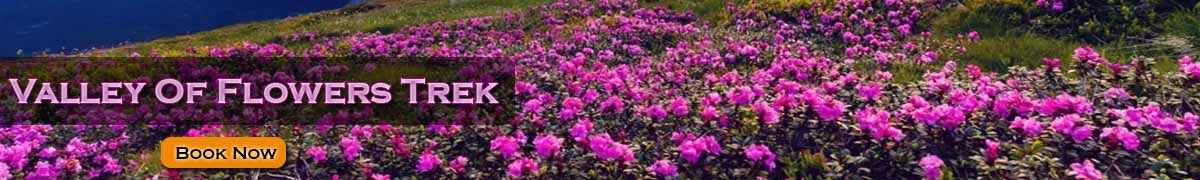 Book Valley of Flowers Trek Tour Package